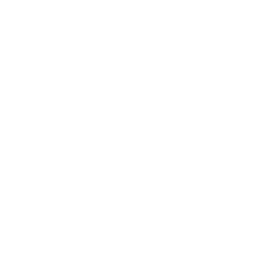 Logo-AM-W-800